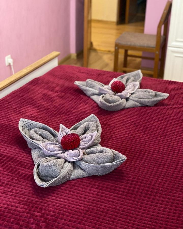 Затишна 2-Х Кімнатна Квартира - Дім Kamyanets-Podilski Dış mekan fotoğraf